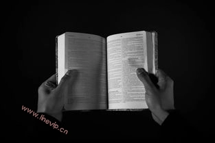 贴纸大战：LINE百亿级表情帝国背后的经济逻辑，贴纸大作战-LINE下载