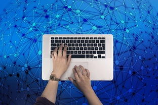 LINE社交背后的文化差异你了解吗？，line聊天软件是什么-LINE下载